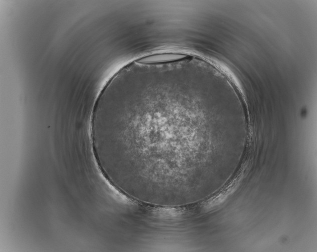 X0000091060855200708131128