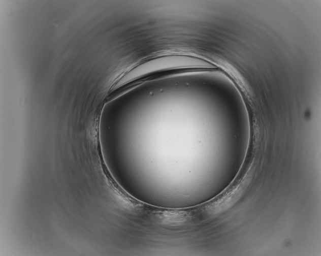 X0000091060857200708131128