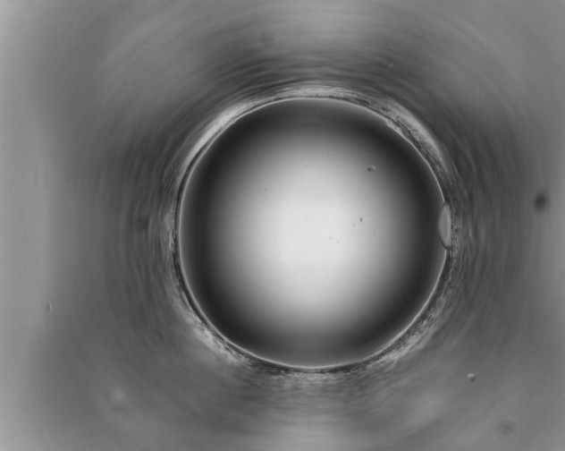 X0000091060860200708131128