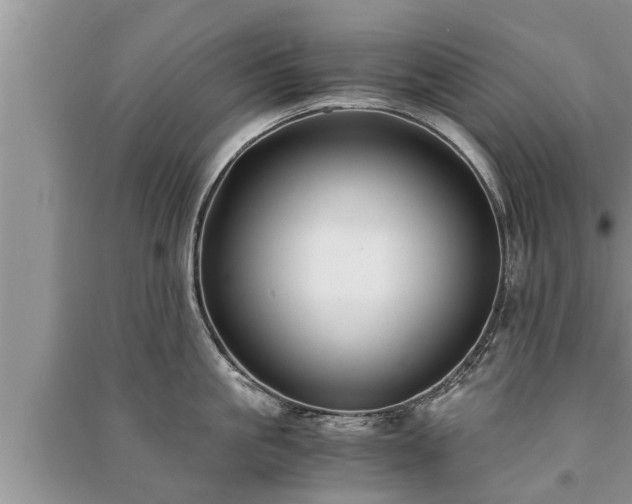 X0000091060861200708131128