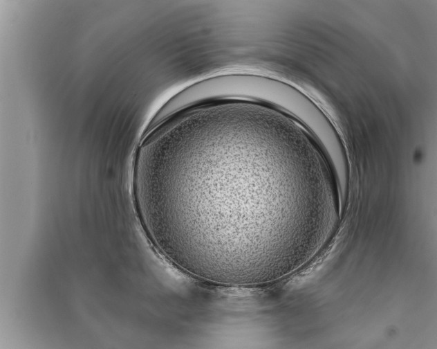 X0000091060862200708131128