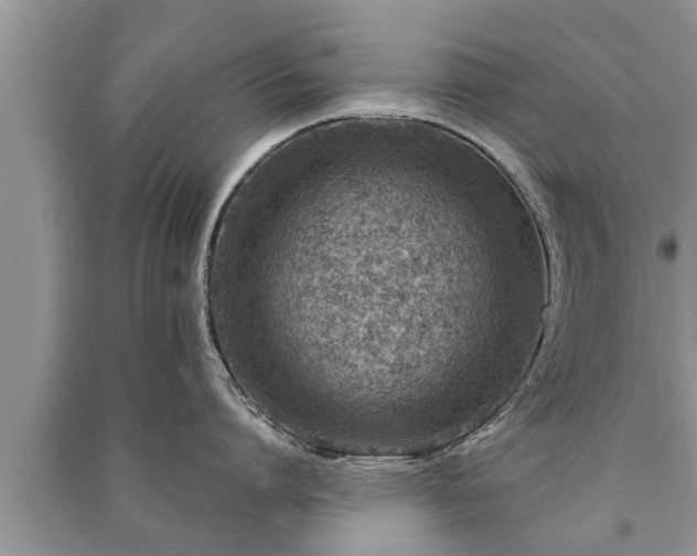 X0000091060864200708131128