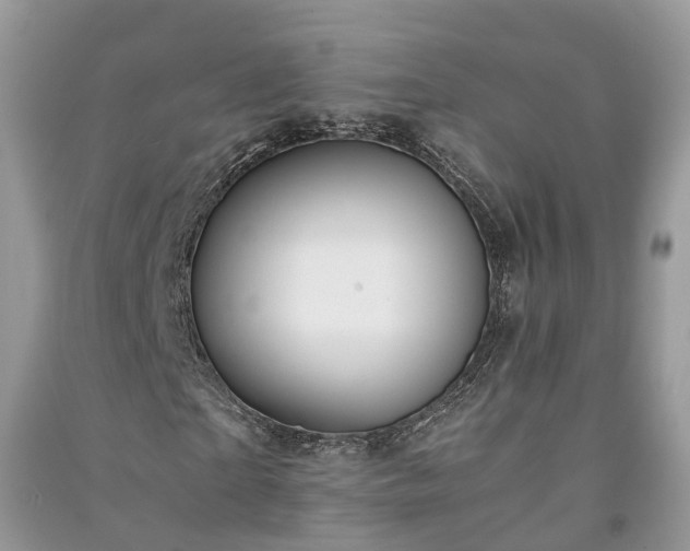 X0000091060865200708131128