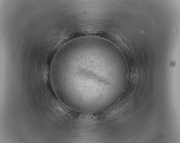 X0000091060866200708131128