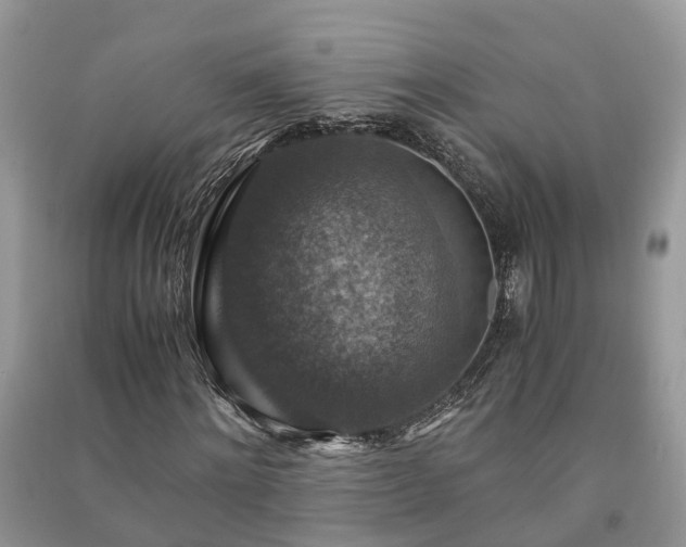 X0000091060868200708131128