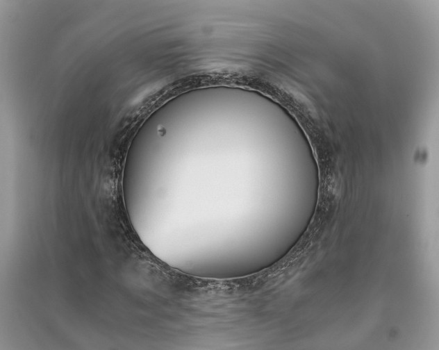 X0000091060869200708131127
