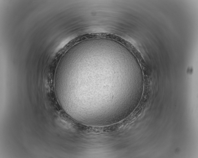 X0000091060871200708131127