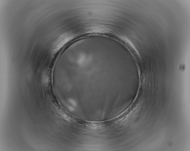 X0000091060874200708131127