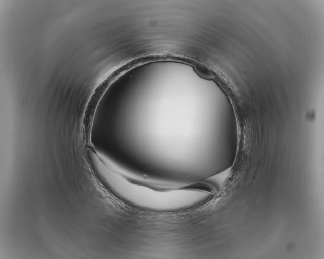 X0000091060876200708131127