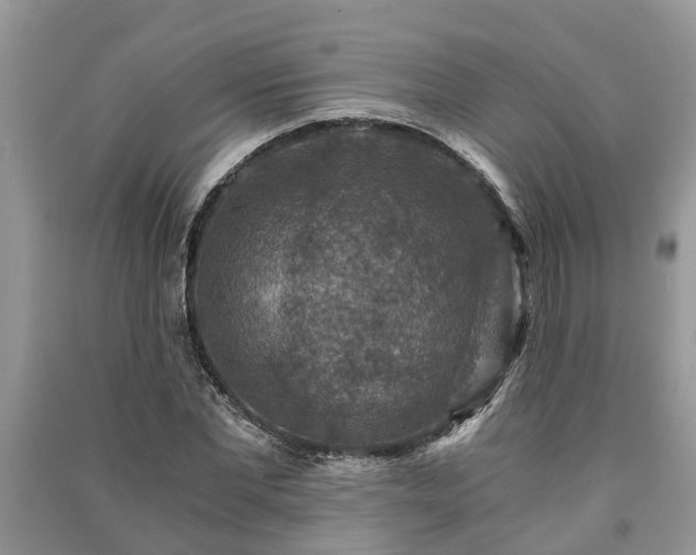X0000091060877200708131127
