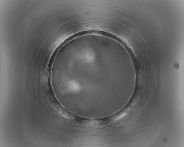 X0000091060879200708131127