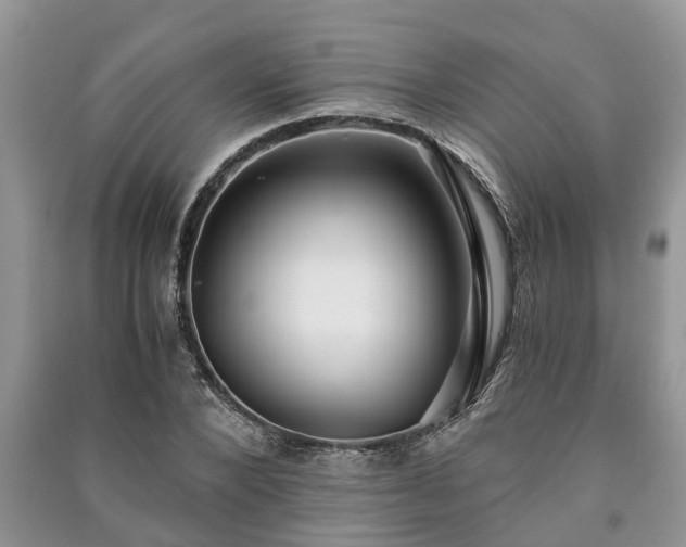 X0000091060880200708131127