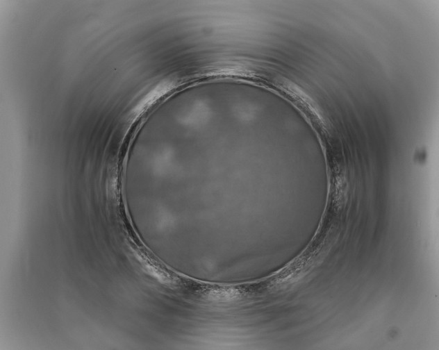 X0000091060882200708131127