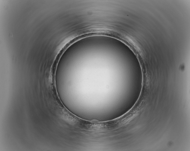 X0000091060883200708131127