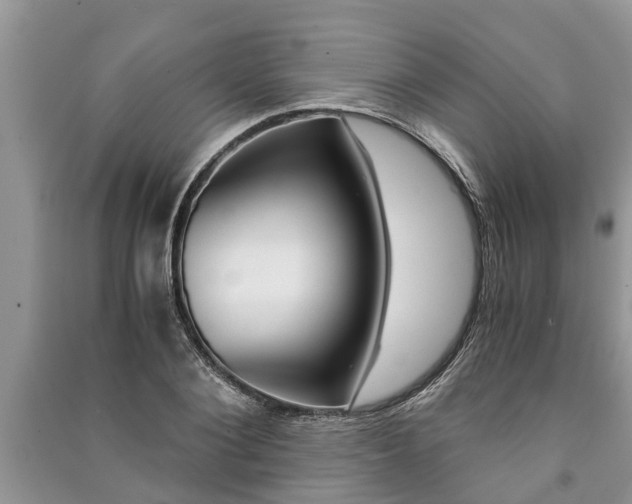 X0000091060884200708131127