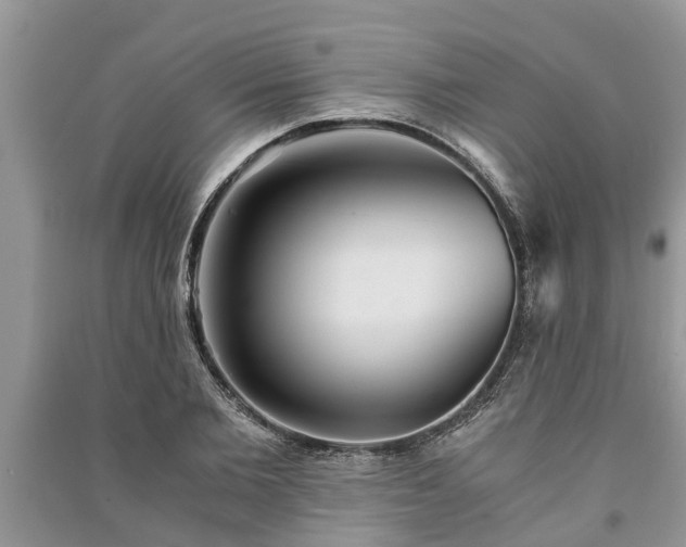 X0000091060885200708131127