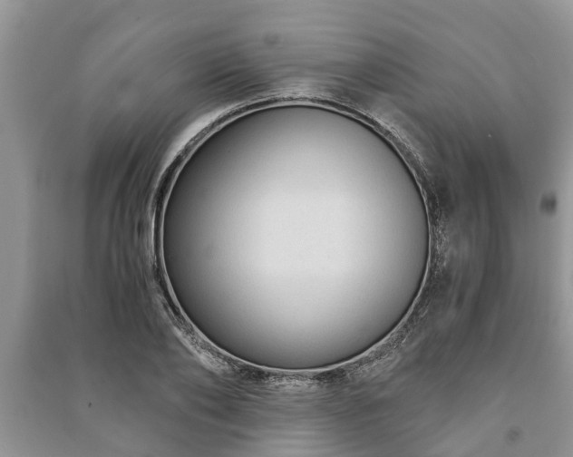 X0000091060886200708131127