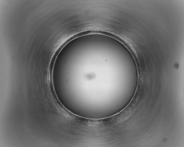X0000091060887200708131127