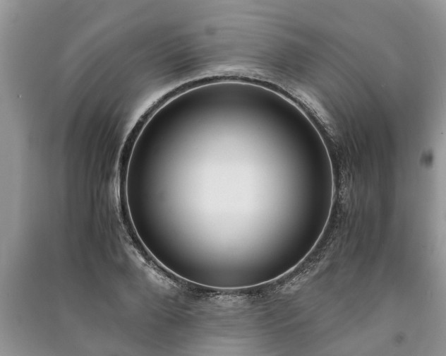 X0000091060888200708131127