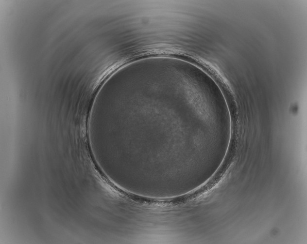 X0000091060889200708131127