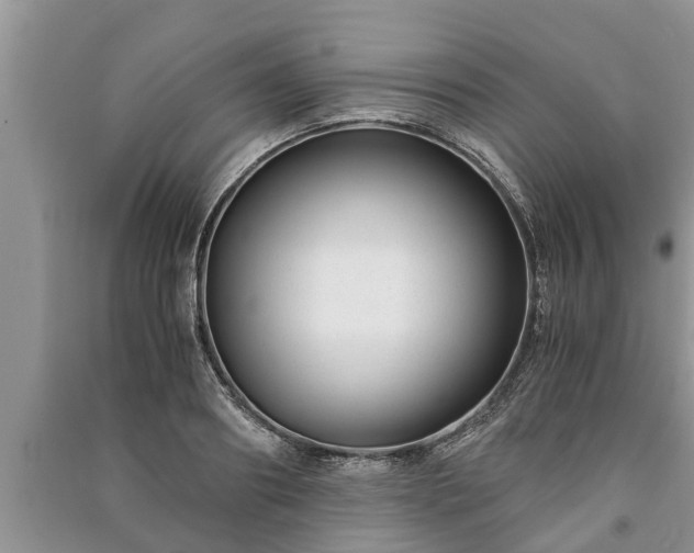 X0000091060890200708131127