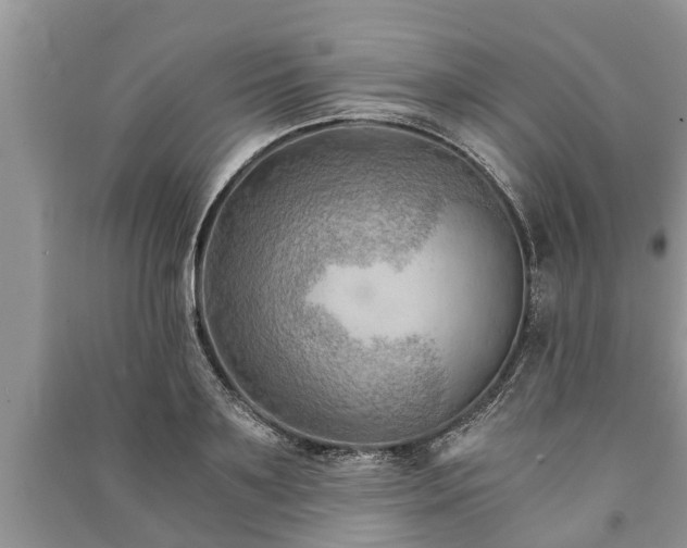 X0000091060891200708131127