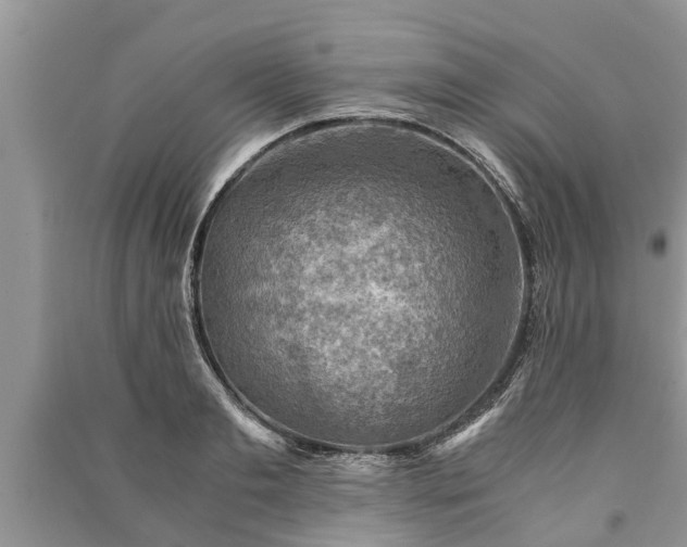 X0000091060893200708131127