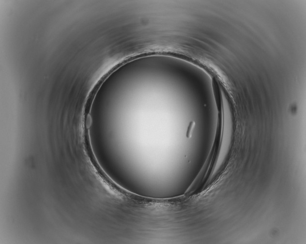 X0000091060894200708131127