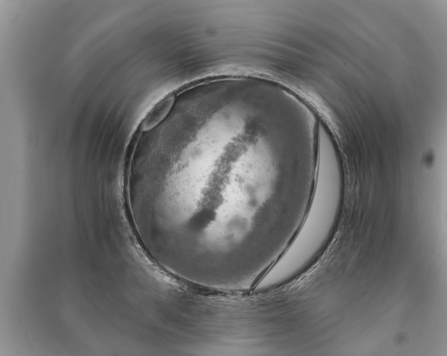X0000091060896200708131127