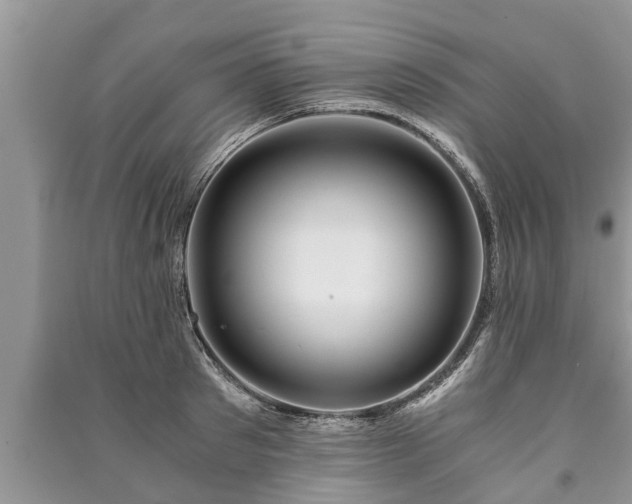 X0000091060897200708131127