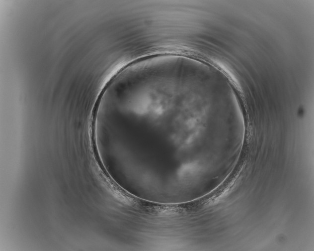 X0000091060899200708131127