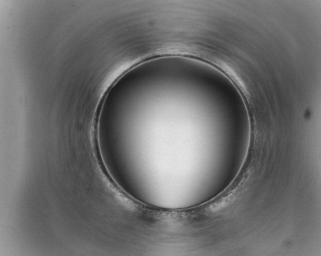 X0000091060901200708131127