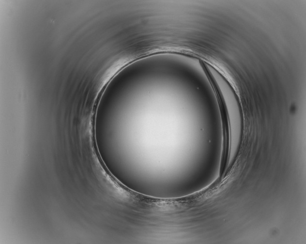 X0000091060906200708131127
