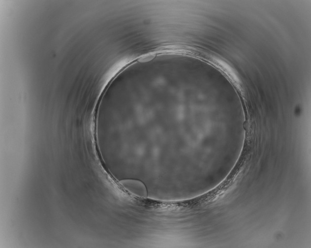 X0000091060907200708131127