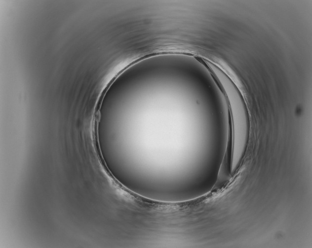 X0000091060909200708131127