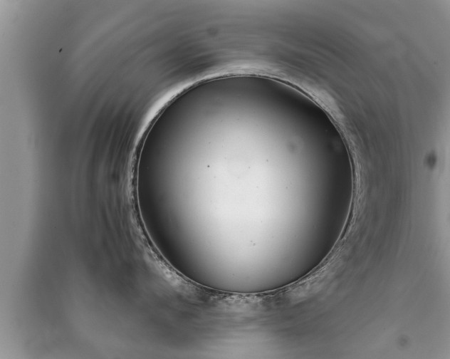 X0000091060912200708131127