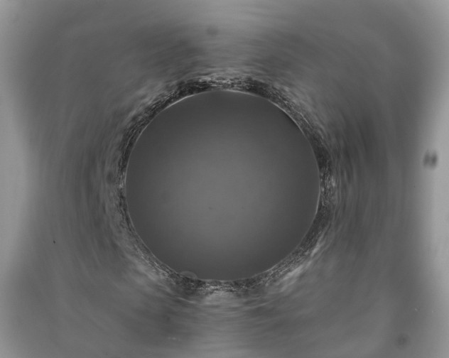X0000091060913200708131126