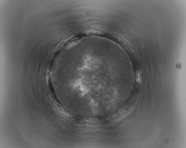 X0000091060915200708131126