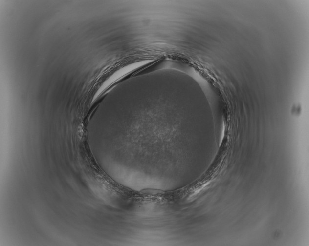 X0000091060916200708131126