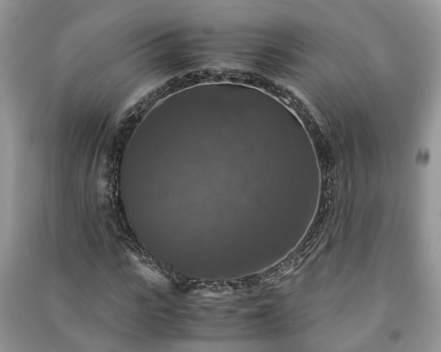 X0000091060919200708131126