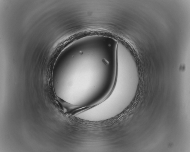 X0000091060920200708131126