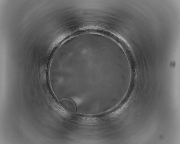 X0000091060921200708131126