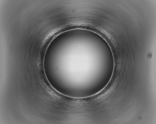 X0000091060922200708131126