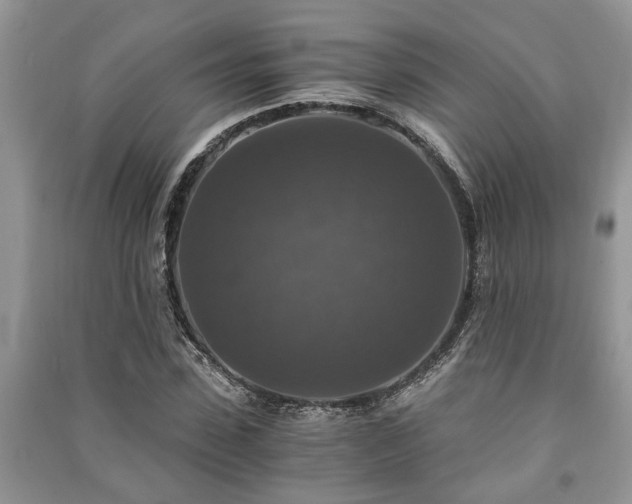 X0000091060923200708131126