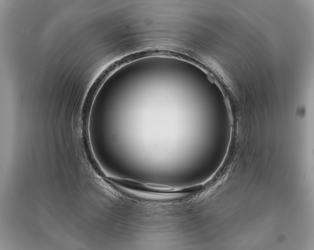 X0000091060924200708131126
