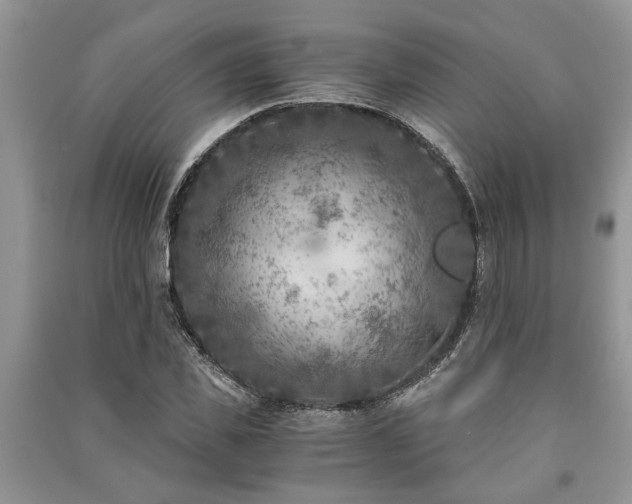 X0000091060925200708131126