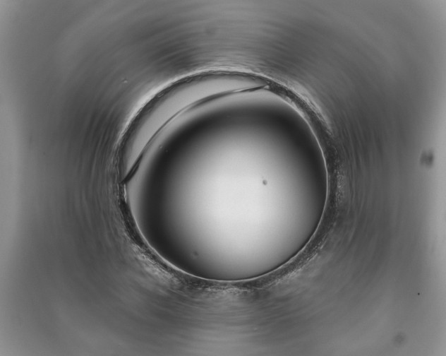 X0000091060926200708131126