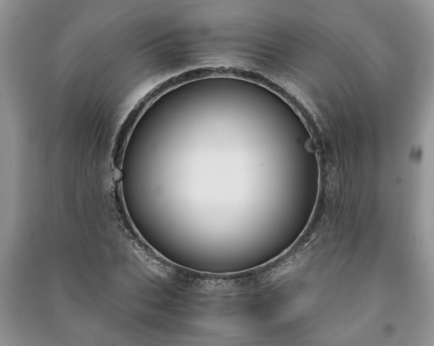 X0000091060927200708131126
