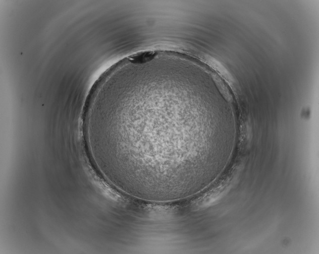 X0000091060928200708131126