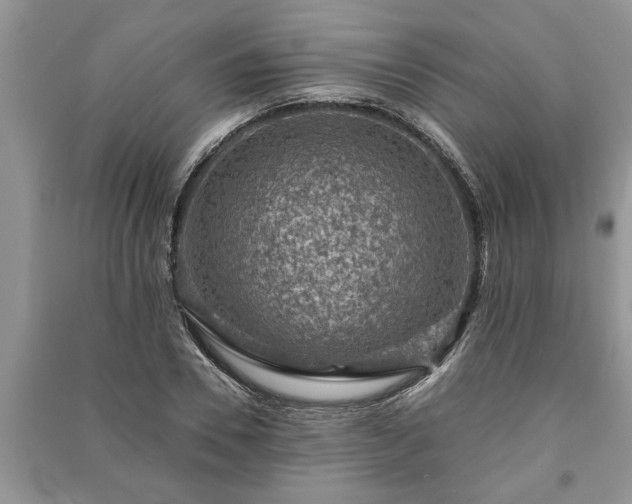 X0000091060930200708131126